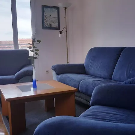 Apartman Cicak *